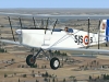 stampe