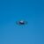 Kleines einmotoriges Propellerflugzeug im Flug vor wolkenlosem blauem Himmel